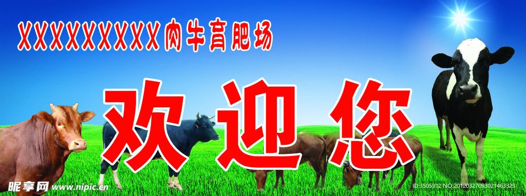肉牛育肥场欢迎您