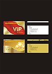 VIP钻石卡