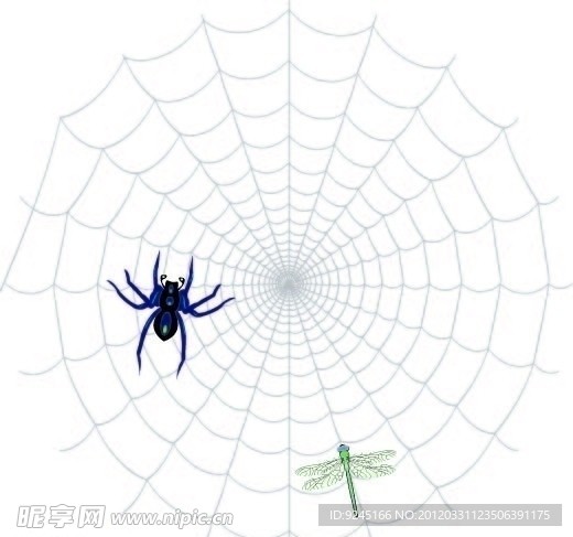 蜘蛛网