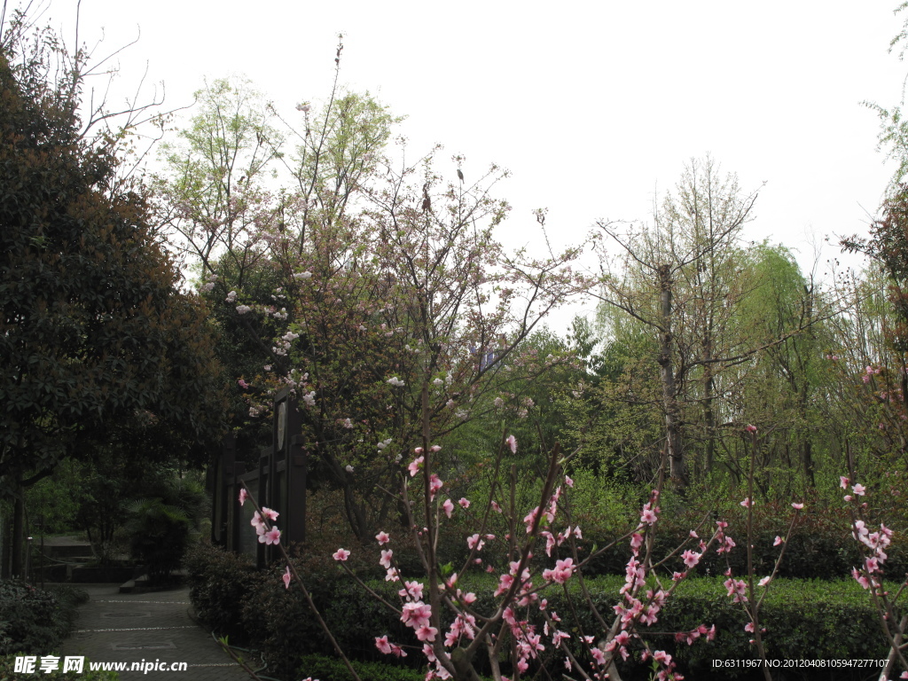 东韵至善美茶馆
