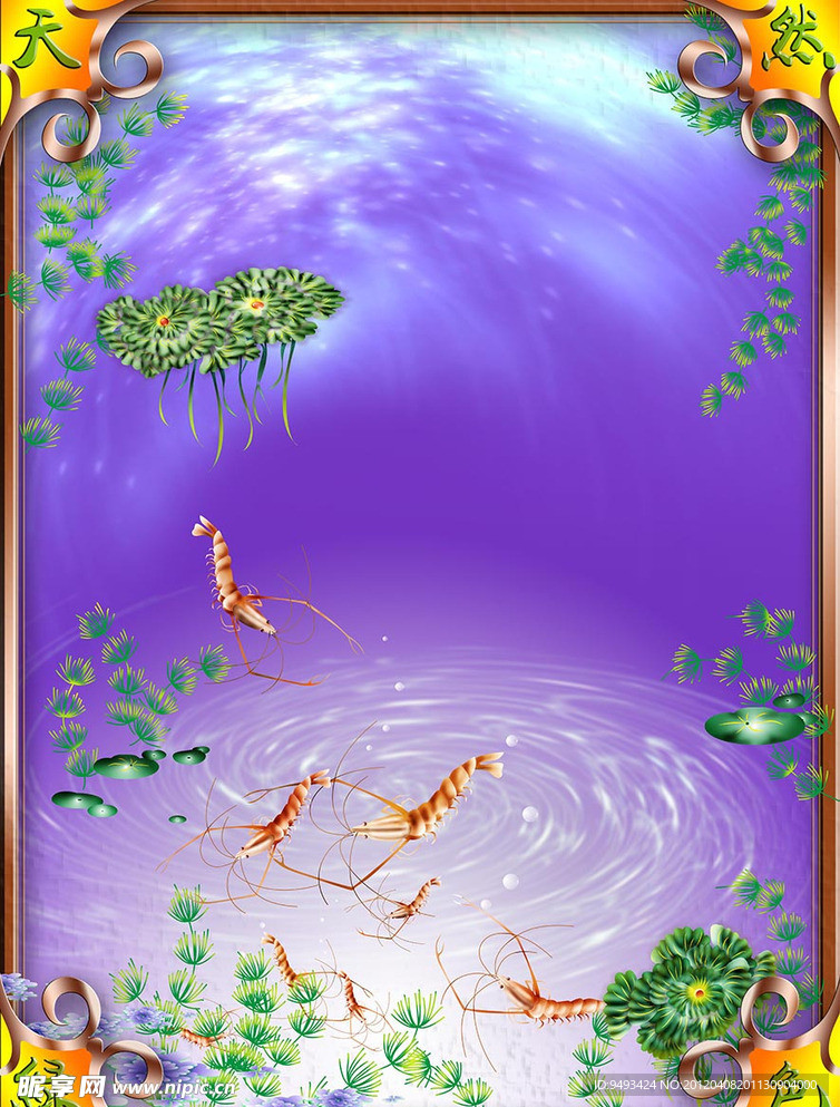 虾米海藻立体框