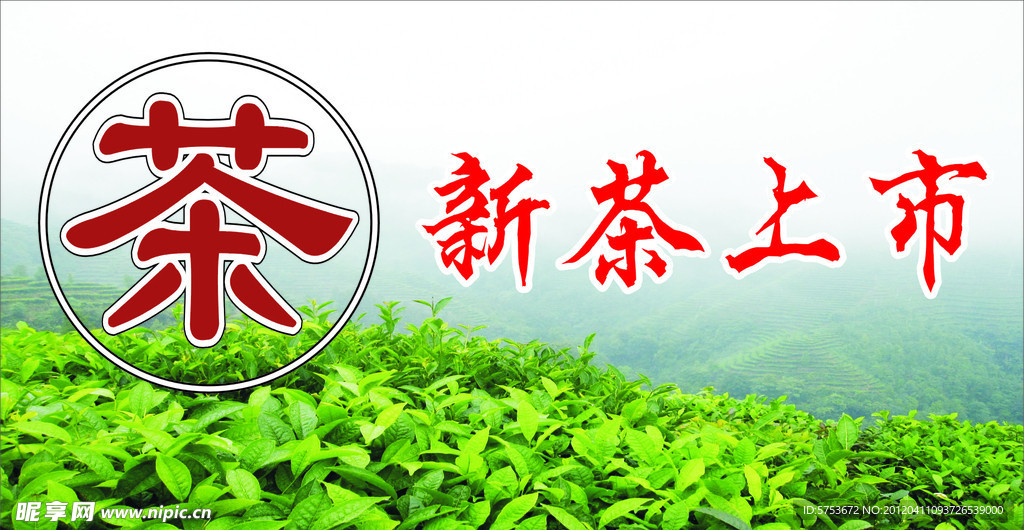 新茶上市