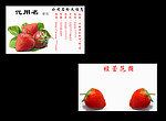 水果销售名片