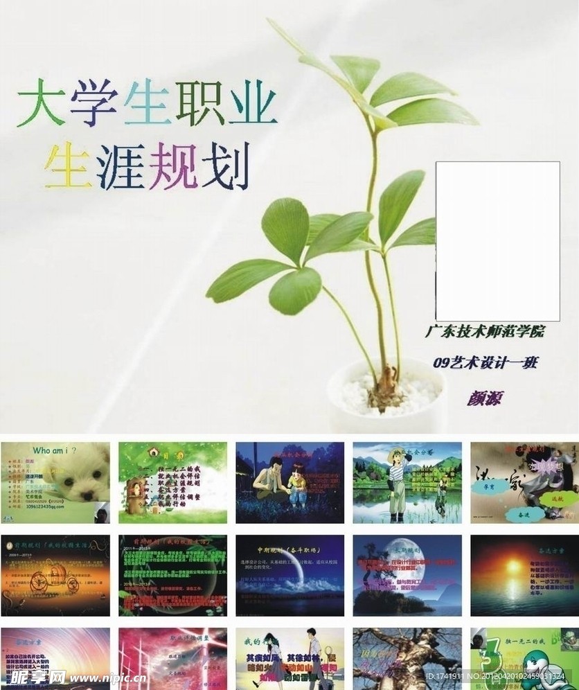 职业 规划 PPT 模板