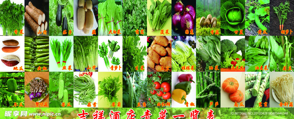 蔬菜大全