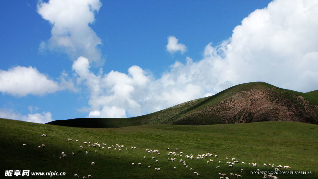 高山牧场（非高清）