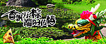 端午节