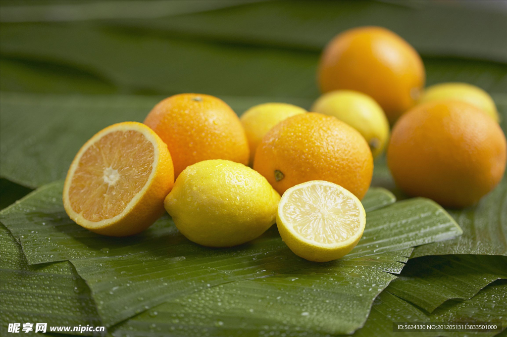 柠檬 柑橘