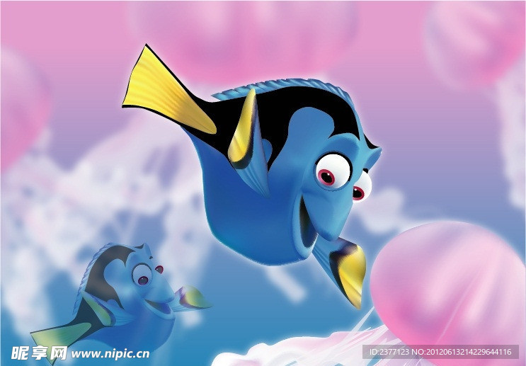 nimo 深海 鱼 水母