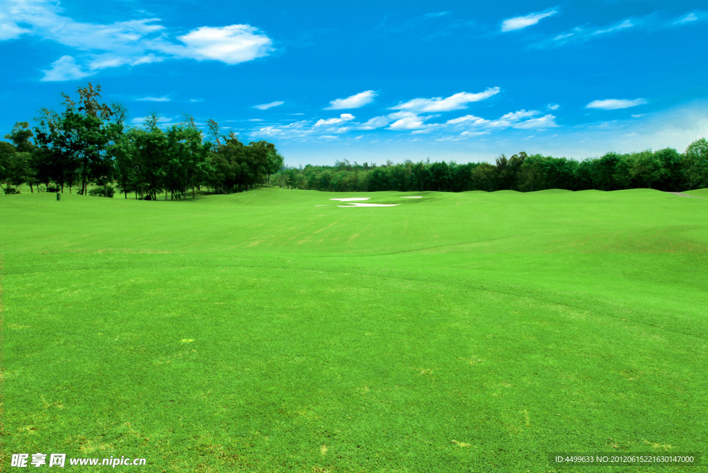 高尔夫球场
