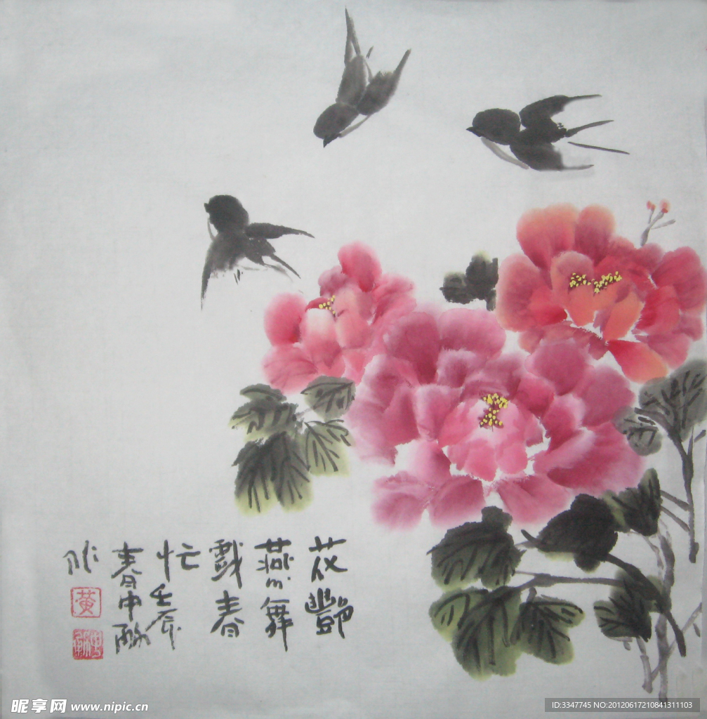 国画牡丹 燕子