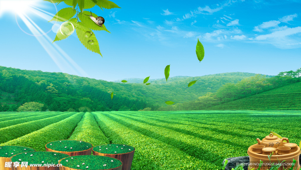 茶园模板