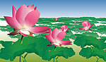 荷花矢量图