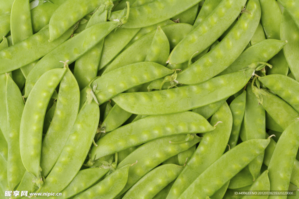 豌豆角