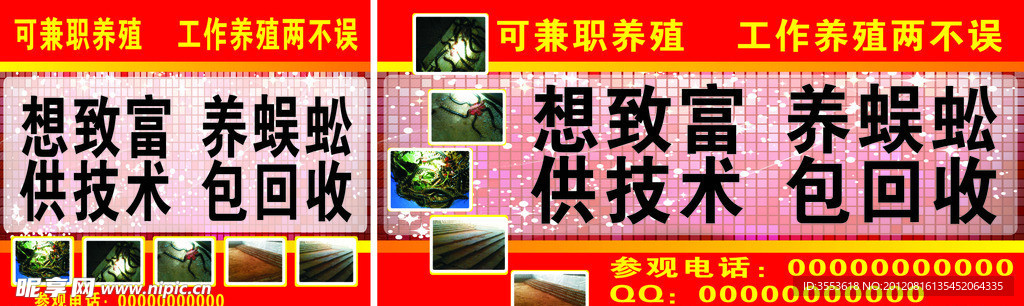 蜈蚣养殖 招贴 广告