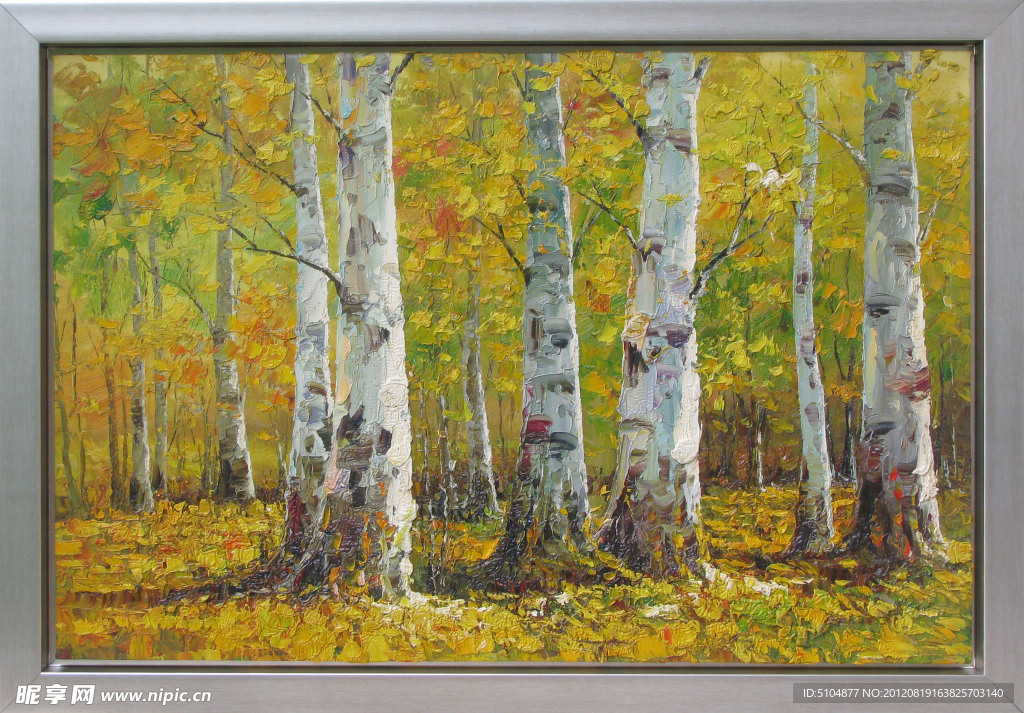 油画白桦林