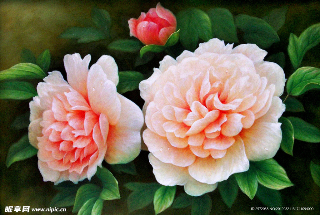 花开时节香满园