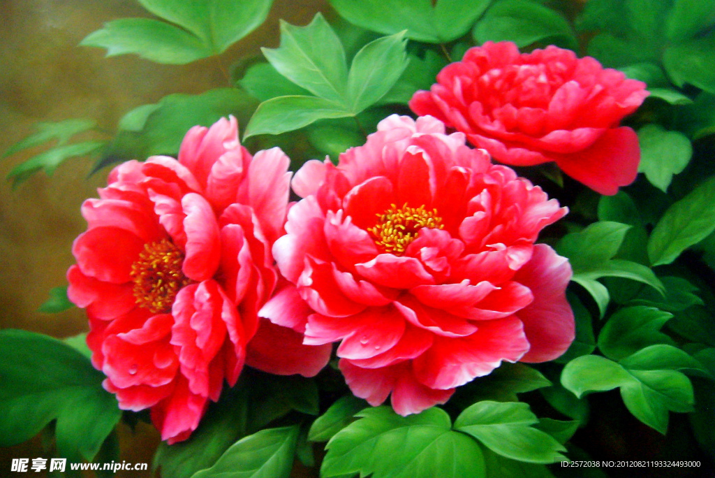 年年长占断春光