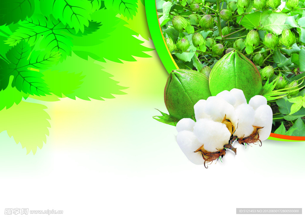 棉花分层素材