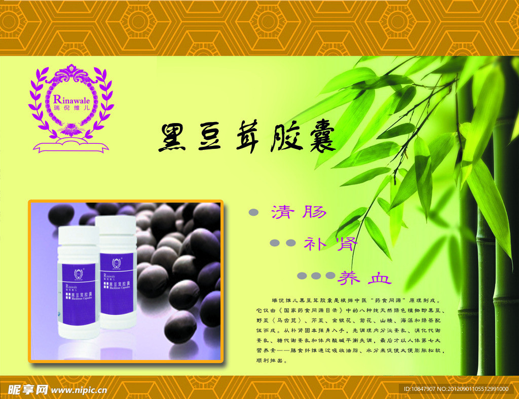 瑞倪维儿黑豆茸宣传单