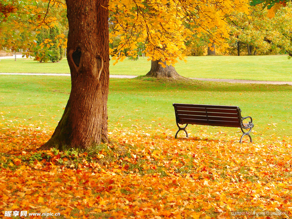 秋天 躺椅 公园