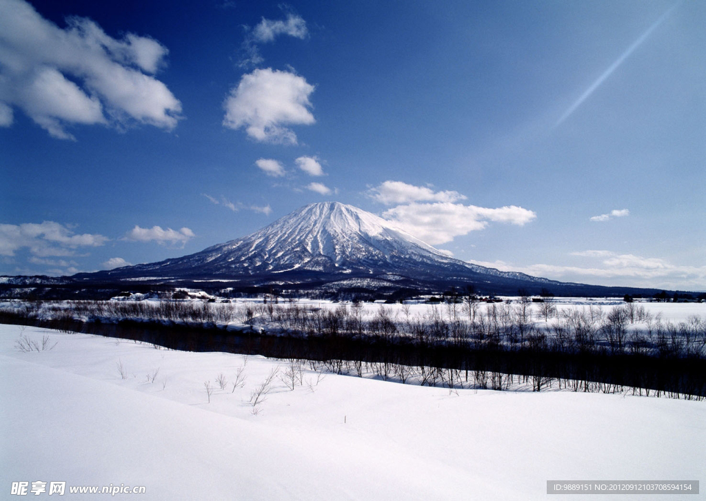 雪景