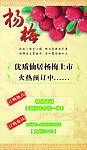 杨梅促销海报
