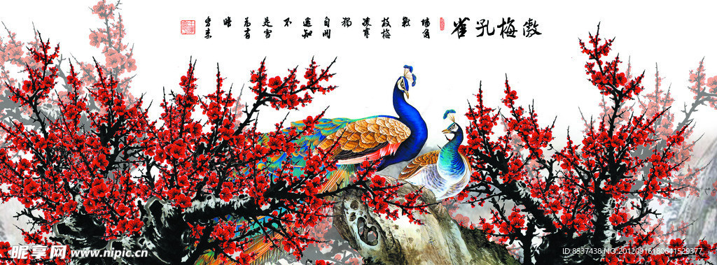 傲梅孔雀 梅花 孔雀