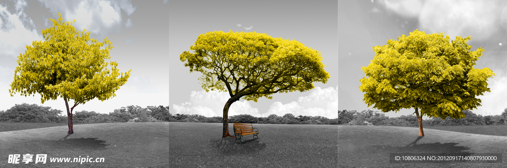 无框画 装饰画 黄金树 秋 长椅