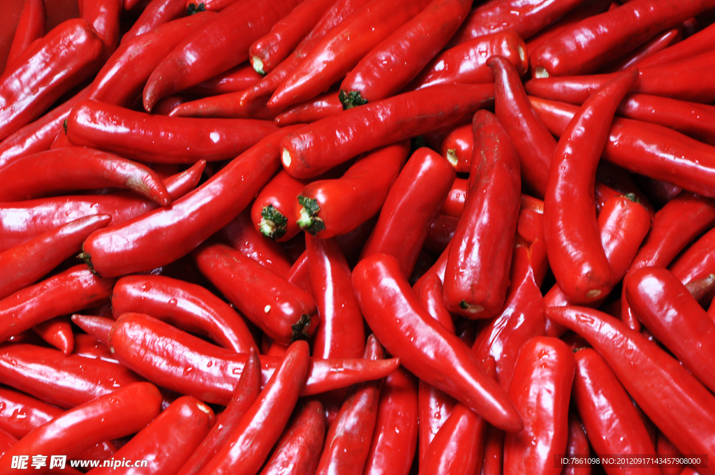 红辣椒
