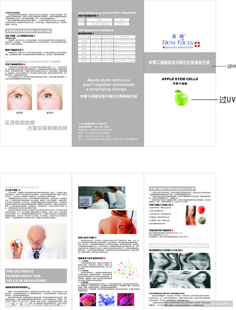 苹果干细胞三折页