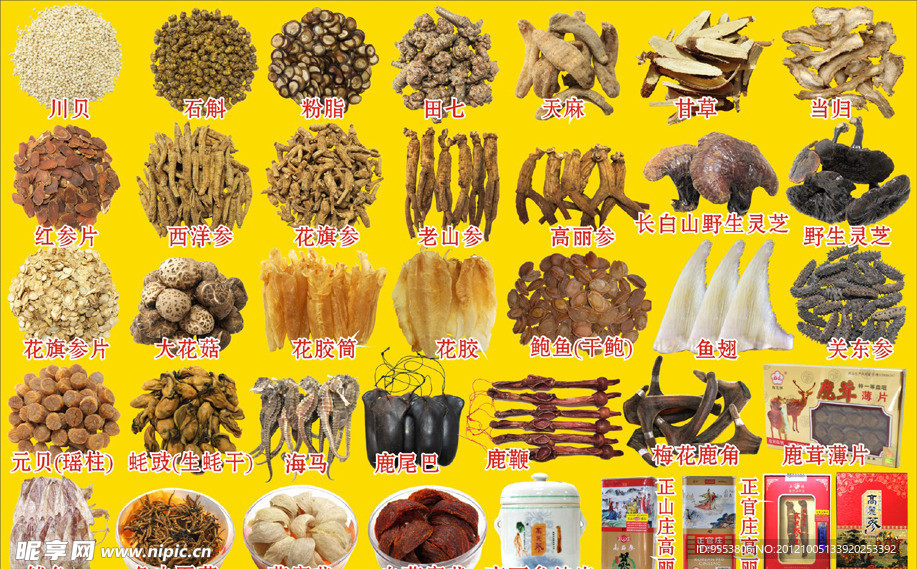 燕窝鲍鱼鱼翅虫草