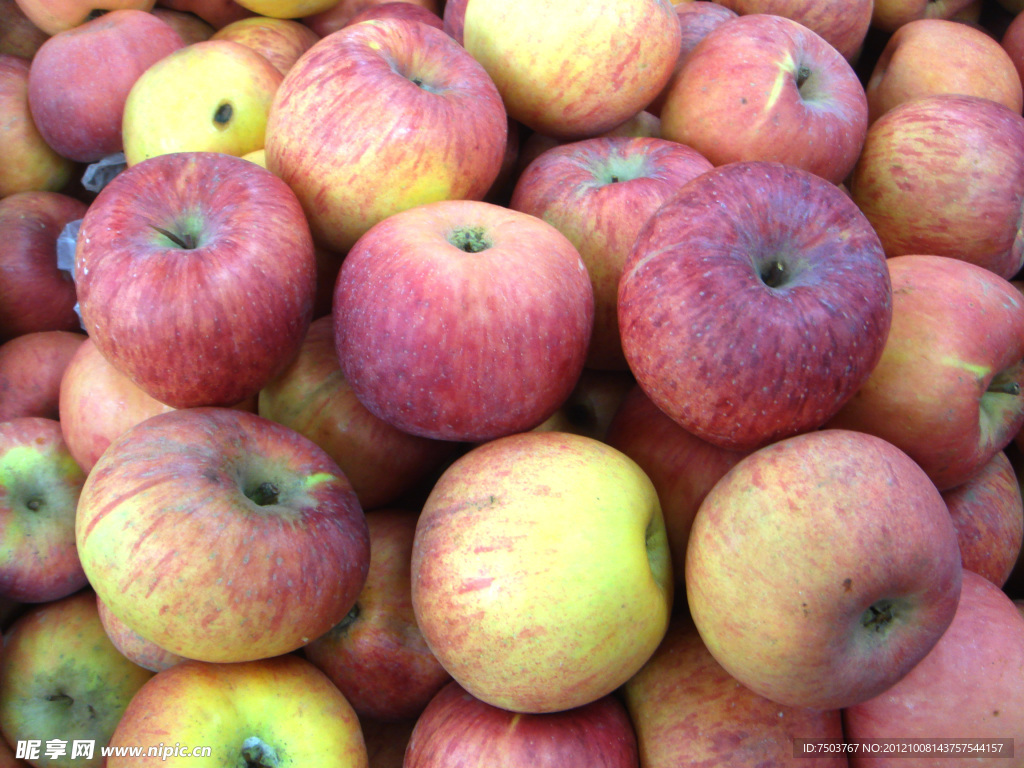 红富士(非高清)