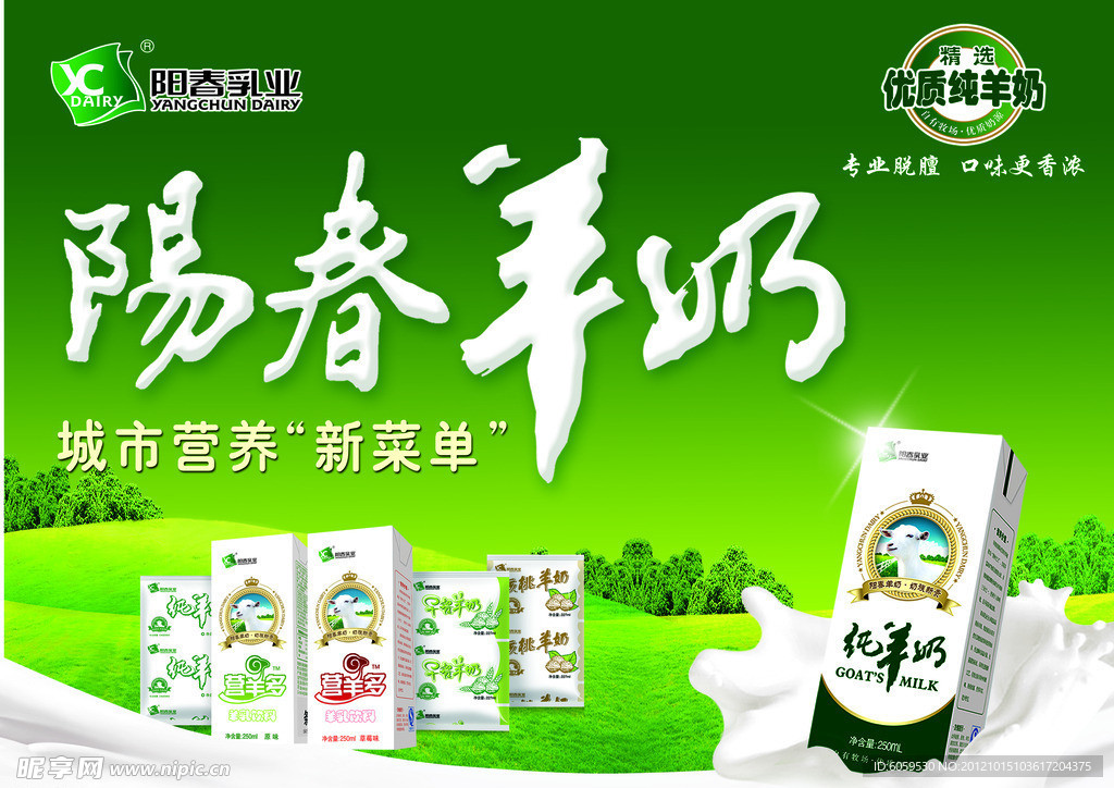 阳春羊奶