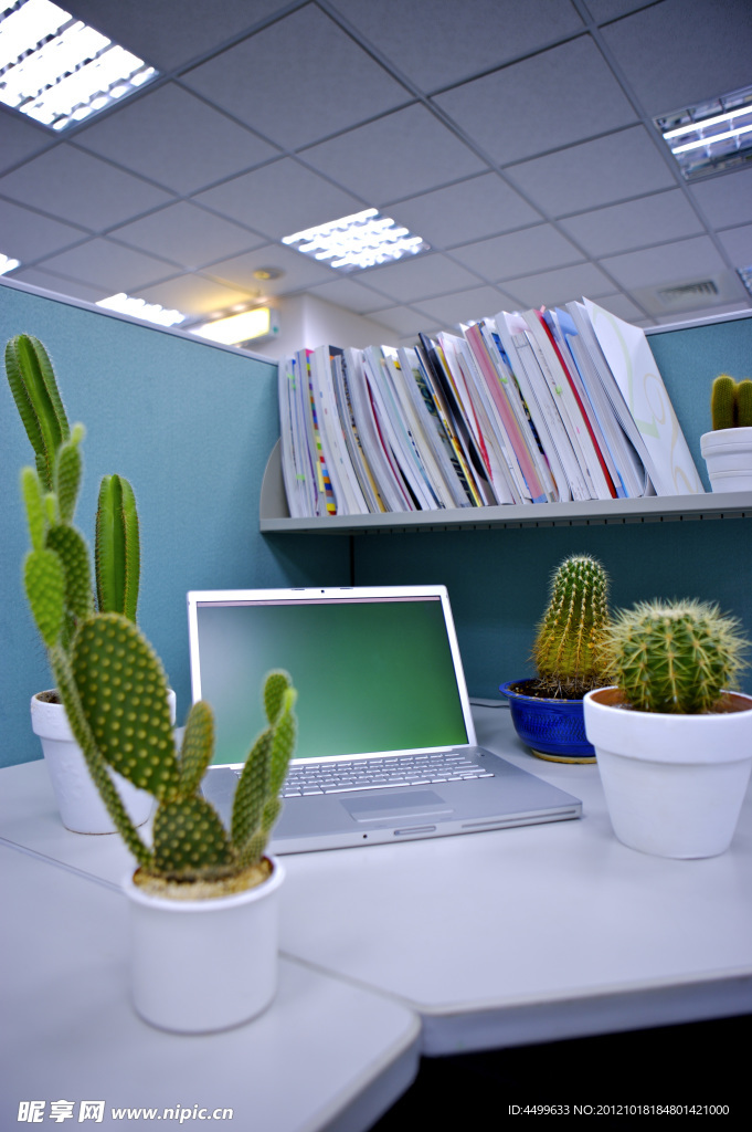 绿色办公 防辐射