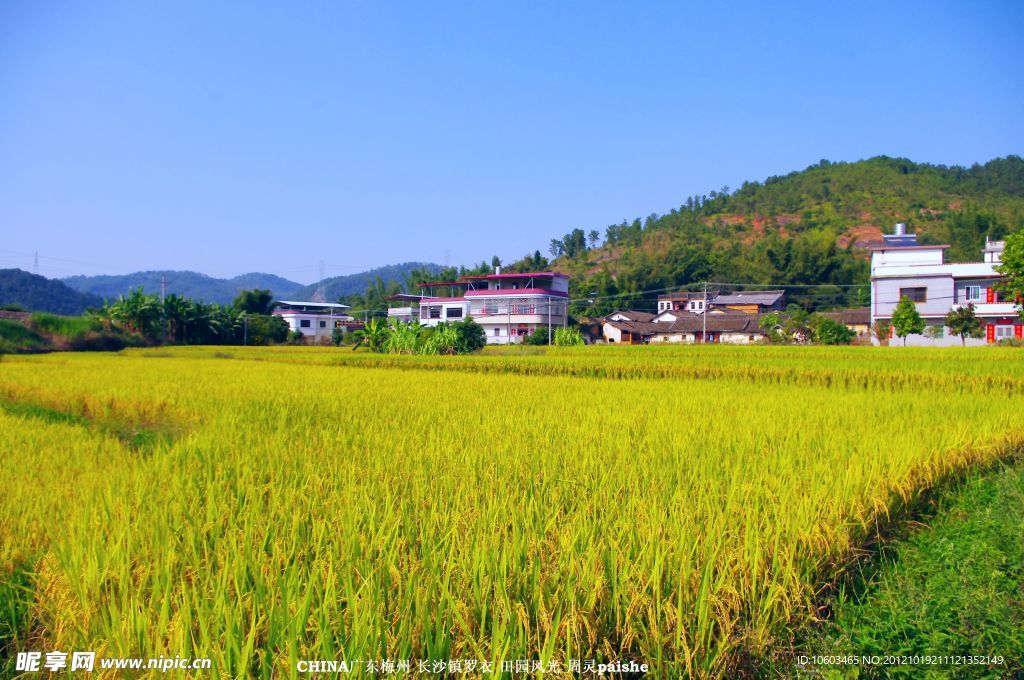 田园风光 梅州长沙罗衣