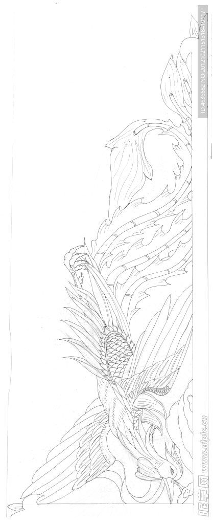 素描凤凰