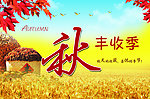 秋丰收季
