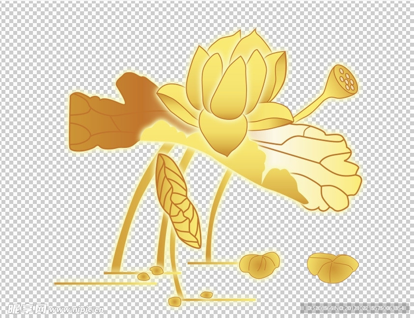 金色荷花cdr线描图