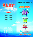 鲜百年宣传册