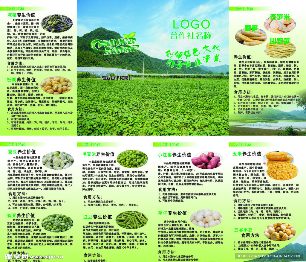 蔬菜 四折页