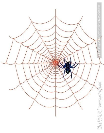 蜘蛛网