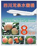 龙泉水蜜桃展板