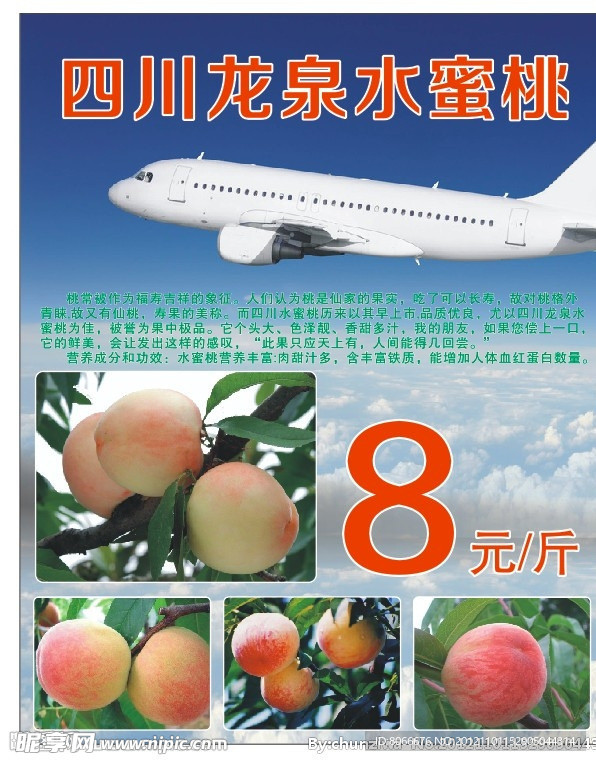 龙泉水蜜桃展板