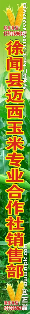 玉米合作社灯箱