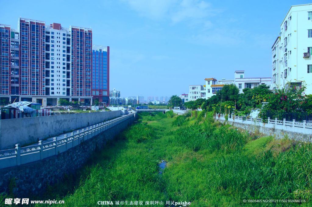 绿色景观 河流建筑