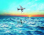 海上日出飞机