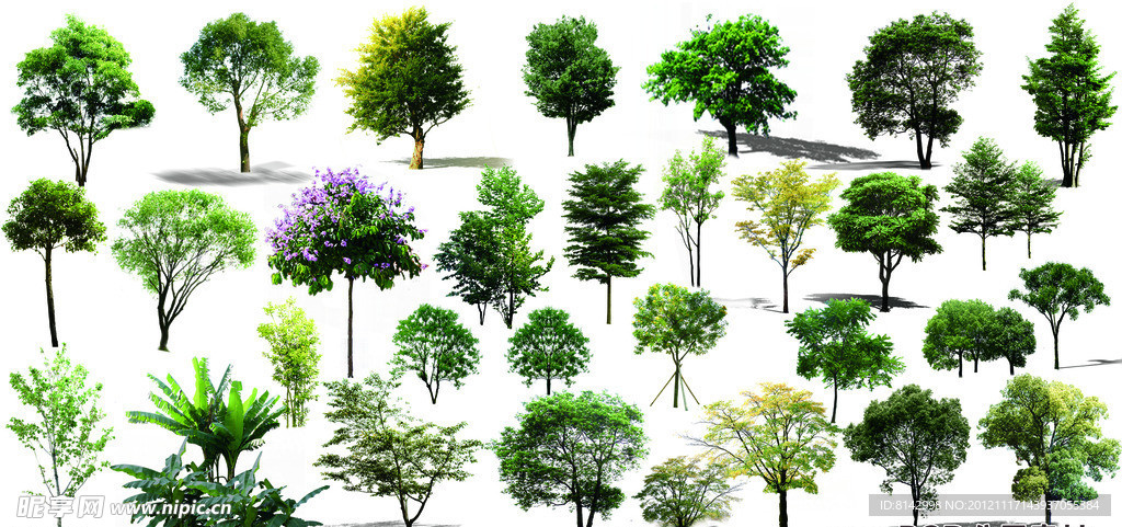 树木素材集
