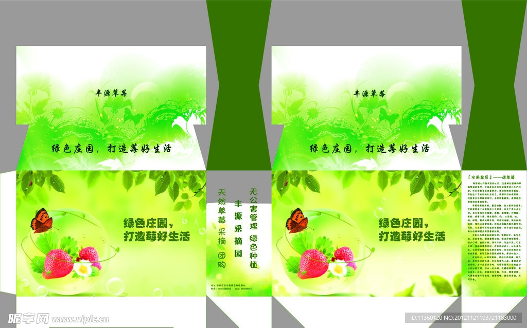 草莓包装盒 包装盒