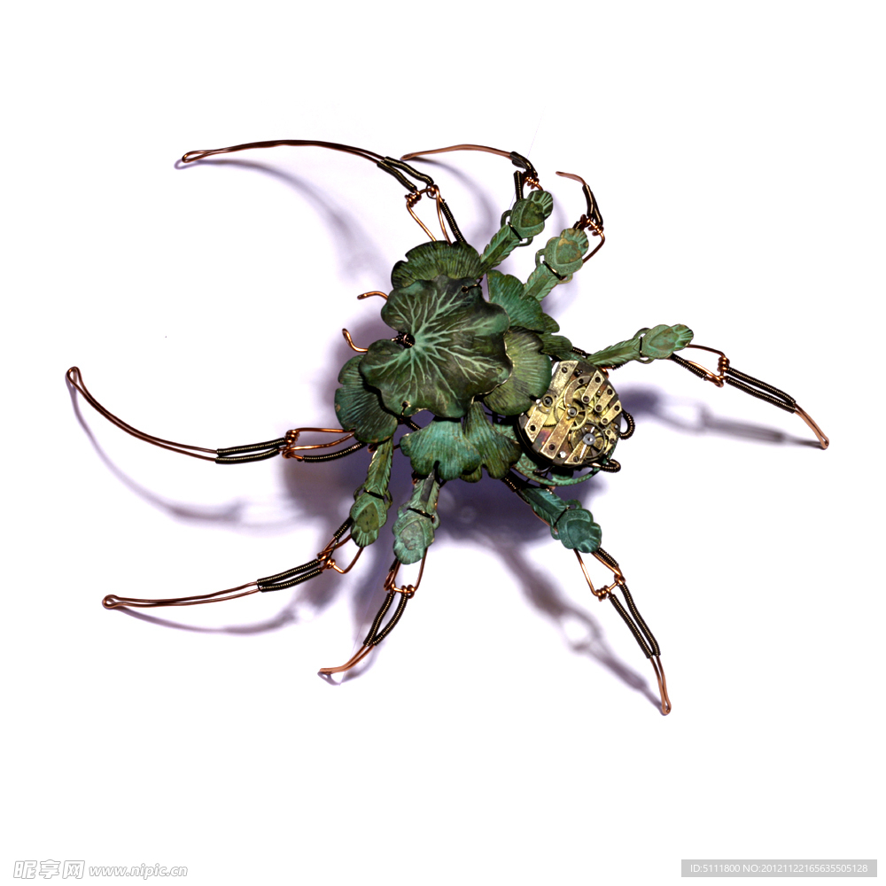 朋克叶蜘蛛